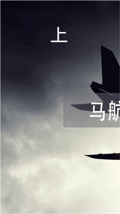 馬航最新動(dòng)態(tài)與進(jìn)展，揭秘失蹤謎團(tuán)，展望未來前景