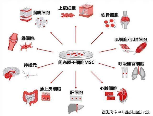 帕金森最新研究進展與治療方法