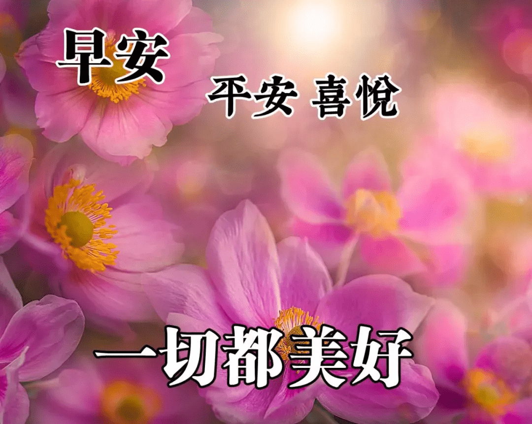最新早上好的圖片，喚醒美好一天的溫馨問候