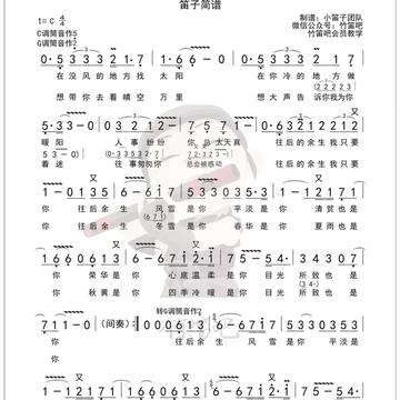 最新抖音熱歌，流行風(fēng)潮與音樂文化的新動態(tài)
