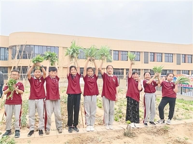 鄭州最新新聞，城市發(fā)展與民生改善的動態(tài)報告