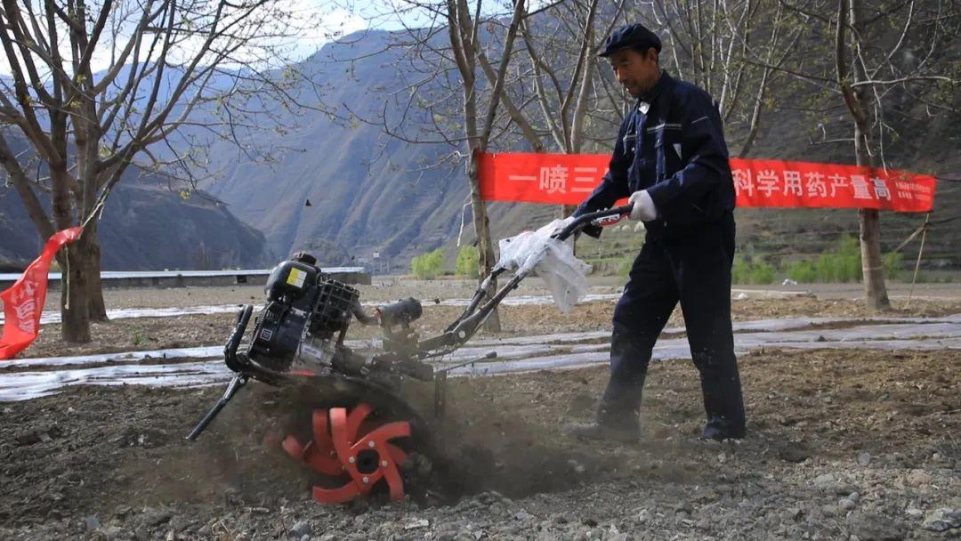 農(nóng)業(yè)新聞最新動態(tài)，引領(lǐng)農(nóng)業(yè)發(fā)展的前沿報道