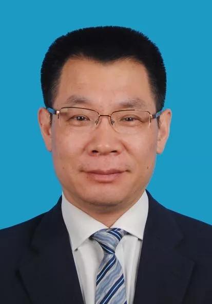 揭秘2024新奧精準(zhǔn)正版資料，全方位解讀與應(yīng)用指南