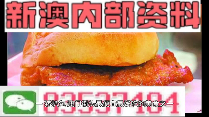 2024新澳正版免費資料大全詳解