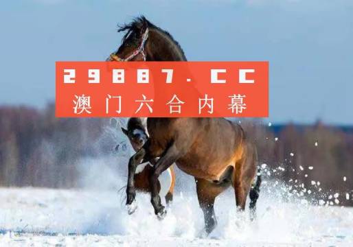 新澳門管家婆一肖一碼一中特，探索背后的奧秘與意義