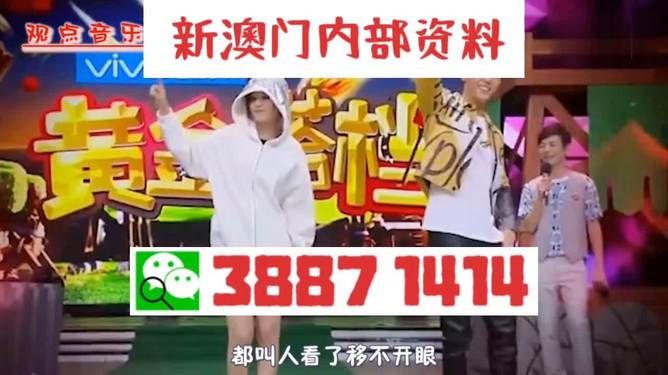 今晚澳門特馬必開一肖，一個關(guān)于違法犯罪問題的探討