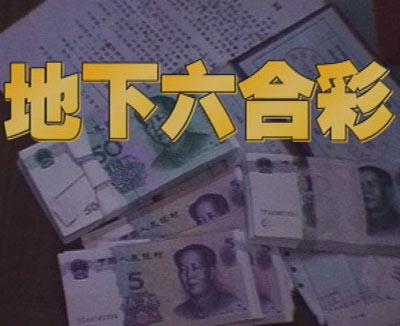白小姐一碼一肖中特一肖，神秘與傳奇的交融