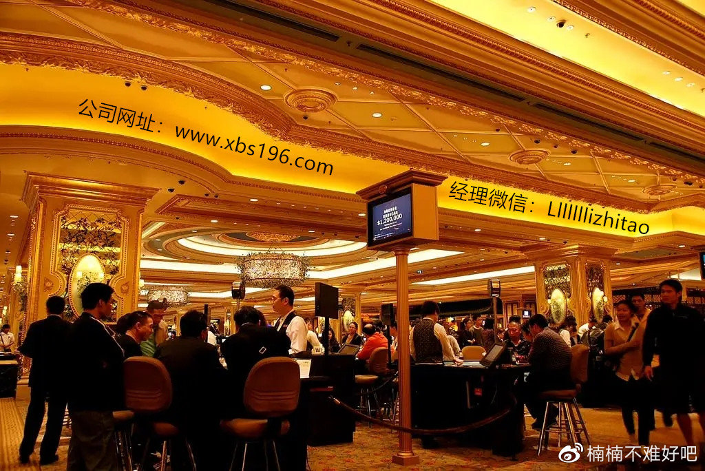 澳門天天彩期期精準(zhǔn)龍門客棧，揭示背后的風(fēng)險與挑戰(zhàn)