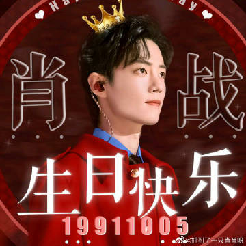 一肖一碼一一肖一子，探尋背后的神秘與魅力
