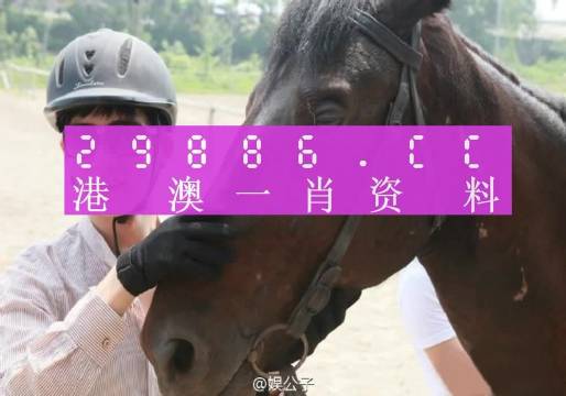澳門一肖一碼一必開一肖，揭示背后的真相與警示