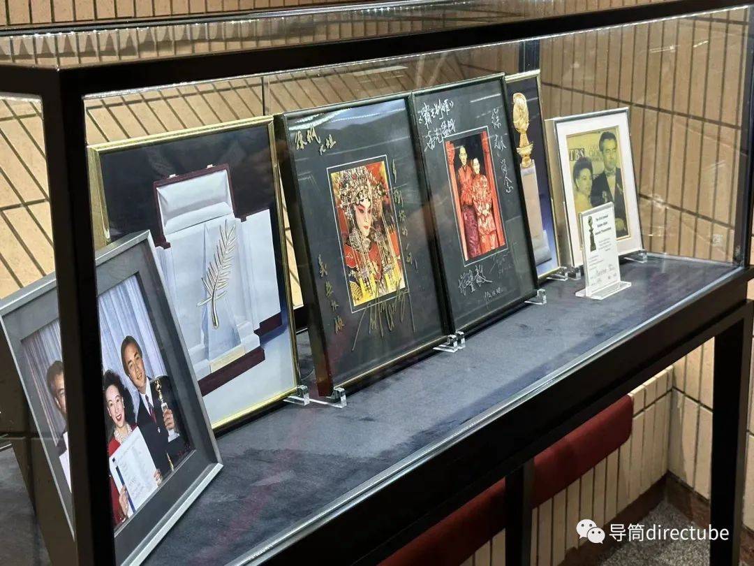 香港內(nèi)部資料免費(fèi)期期準(zhǔn)，深度解讀與前景展望