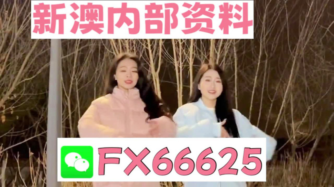 揭秘管家婆一碼一肖，精準預(yù)測背后的秘密