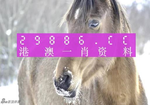 澳門一肖一碼100準免費資料，揭示背后的真相與風險