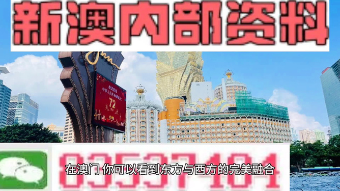新澳2024正版免費(fèi)資料，探索與解析