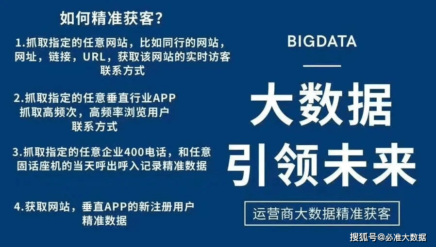 新奧天天精準(zhǔn)資料大全，探索與解析