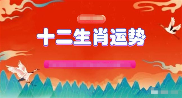 一肖一碼，精準(zhǔn)資料的探索