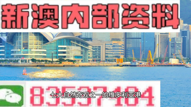 新澳2024正版資料免費(fèi)公開，探索未來的財富之路