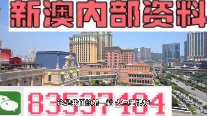 新澳門免費(fèi)正版資料，警惕背后的違法犯罪問題