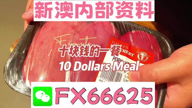 關(guān)于新澳精準(zhǔn)資料免費大全的探討，一個關(guān)于違法犯罪問題的探討