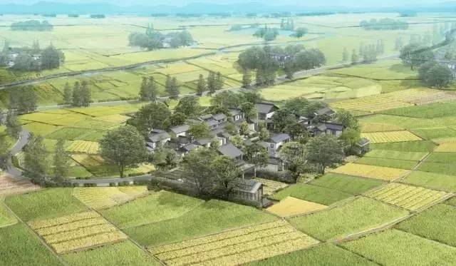 奉賢五四農(nóng)場(chǎng)最新規(guī)劃，重塑田園夢(mèng)想，開(kāi)啟農(nóng)業(yè)新時(shí)代