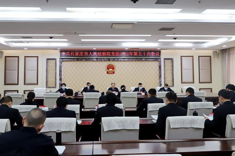 石家莊信鴿最新公告，重塑城市信鴿文化，引領(lǐng)信鴿運動新篇章