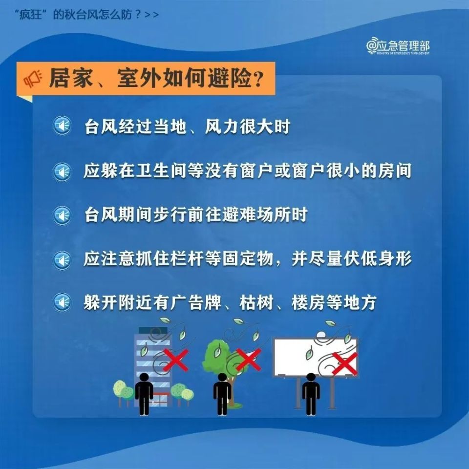 新澳門天天開將資料大全，探索與解讀