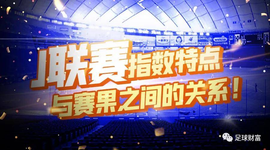 新澳門特免費(fèi)資料大全火鳳凰，深度解析與獨(dú)特視角