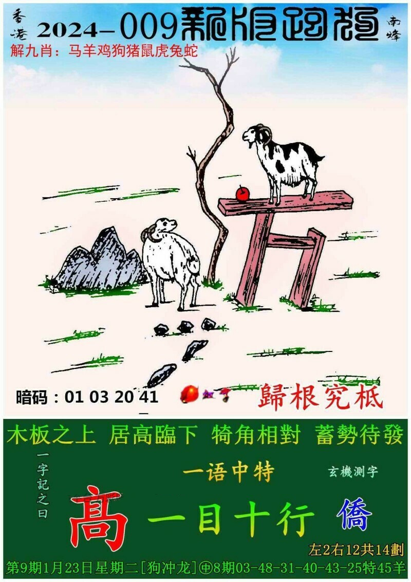 澳門跑狗圖免費正版圖2024年，探索與期待