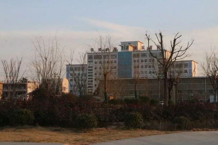 大華棚改最新動態(tài)，推動城市更新，打造宜居環(huán)境