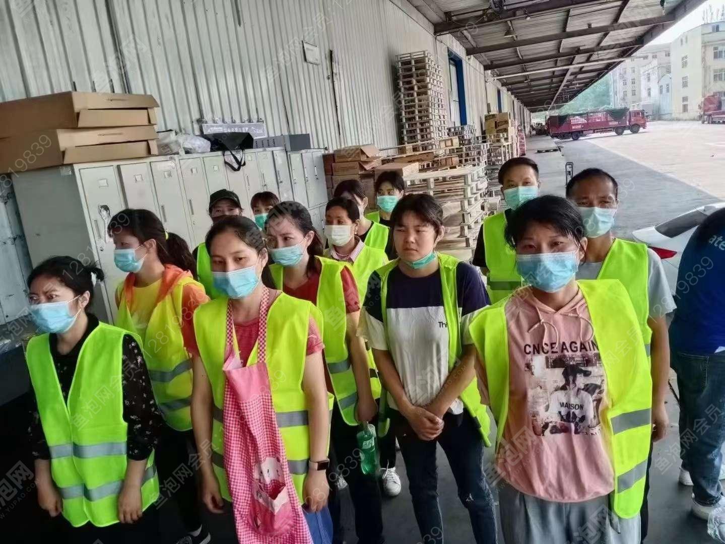 潮州最新包裝工招工信息，職業(yè)前景與就業(yè)市場分析
