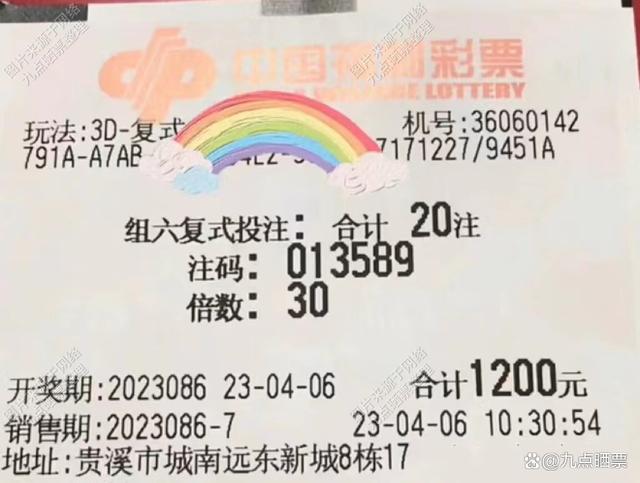 澳門今晚開獎記錄，探索彩票背后的故事與期待