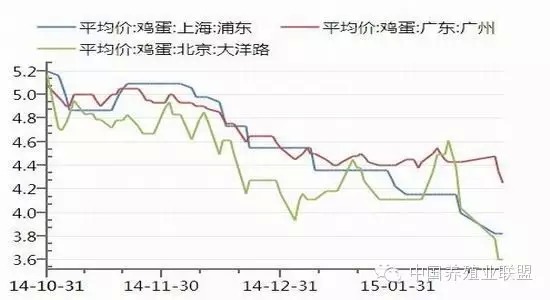 今日雞蛋最新價(jià)格，市場走勢、影響因素及未來趨勢分析
