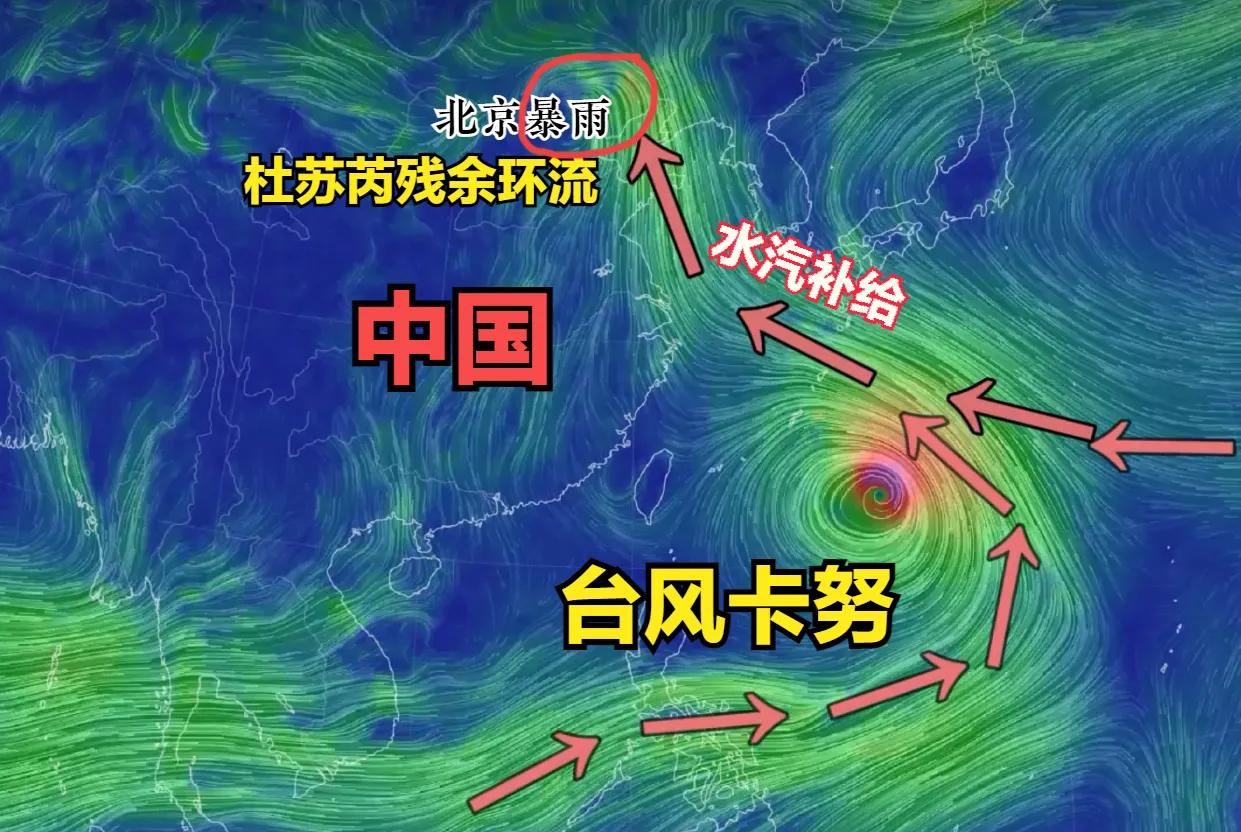 中國最新臺風(fēng)，影響與應(yīng)對