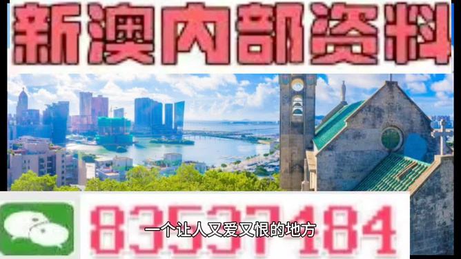 新2024澳門兔費資料，探索澳門未來的機遇與挑戰(zhàn)