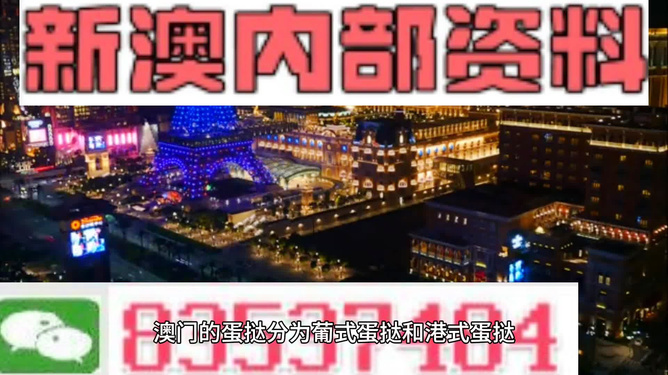 新澳門特免費(fèi)資料大全與管家婆料，深度解析與探索
