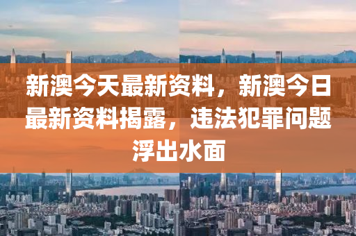 關于新澳精準正版資料的探討與警示——警惕違法犯罪風險