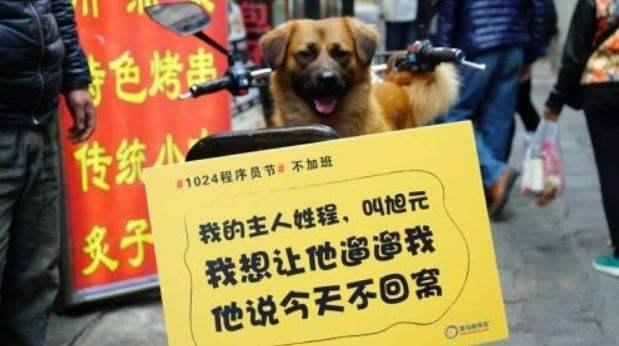 關于免費獲取馬匹資料的網(wǎng)站與違法犯罪問題探討