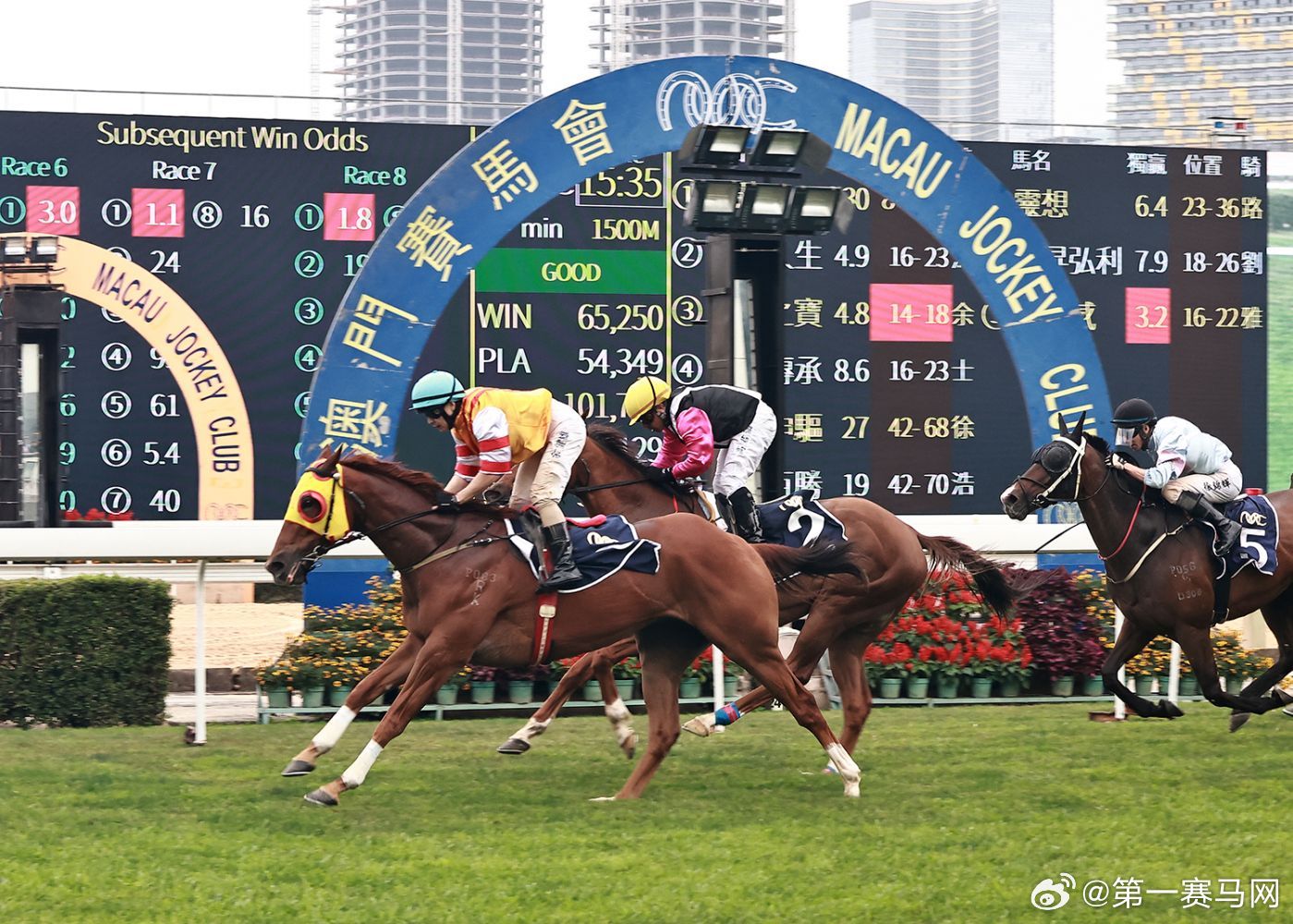 關(guān)于澳門特馬今晚開獎(jiǎng)一與違法犯罪問題的探討