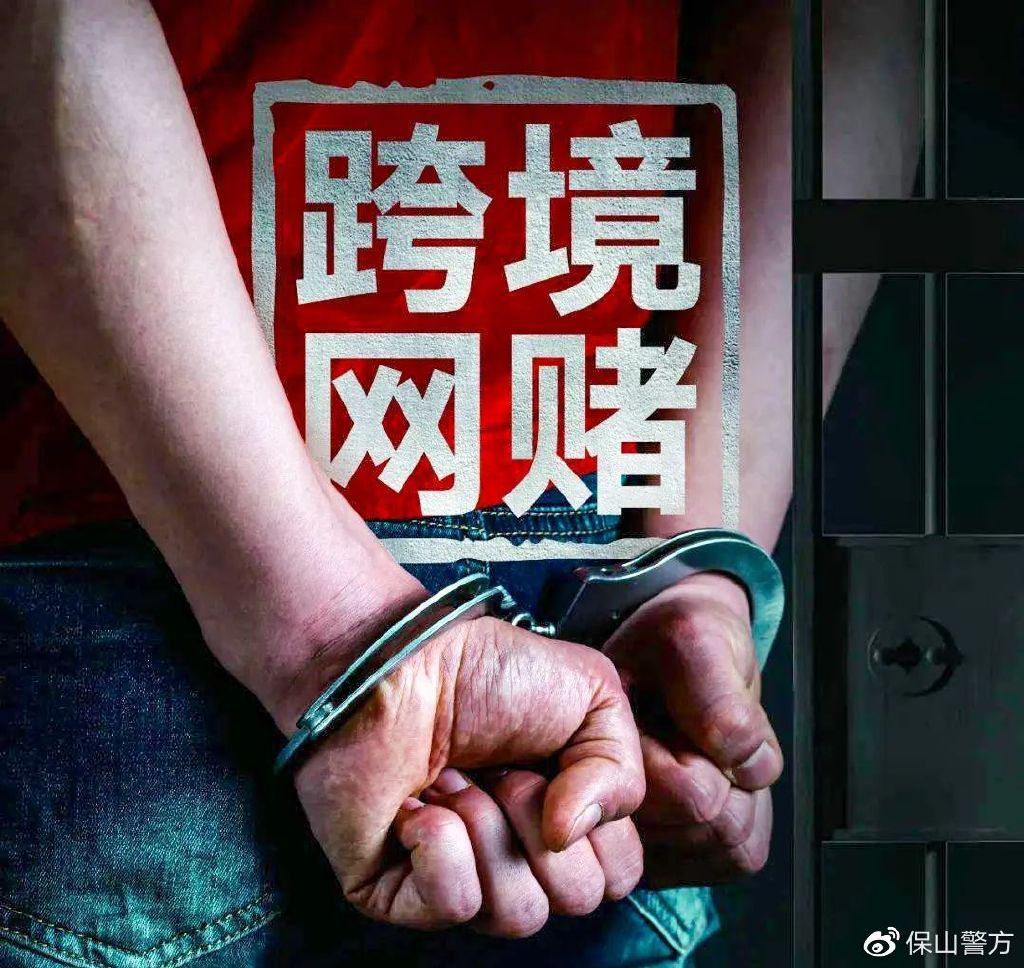 一肖一碼免費(fèi)，公開與犯罪邊緣的探討