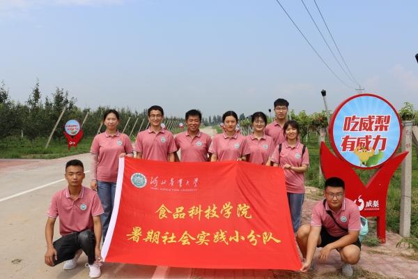 河北農(nóng)交匯最新消息，引領(lǐng)農(nóng)業(yè)新時代，助力鄉(xiāng)村振興