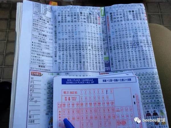 香港特馬資料王中王，揭示違法犯罪問(wèn)題