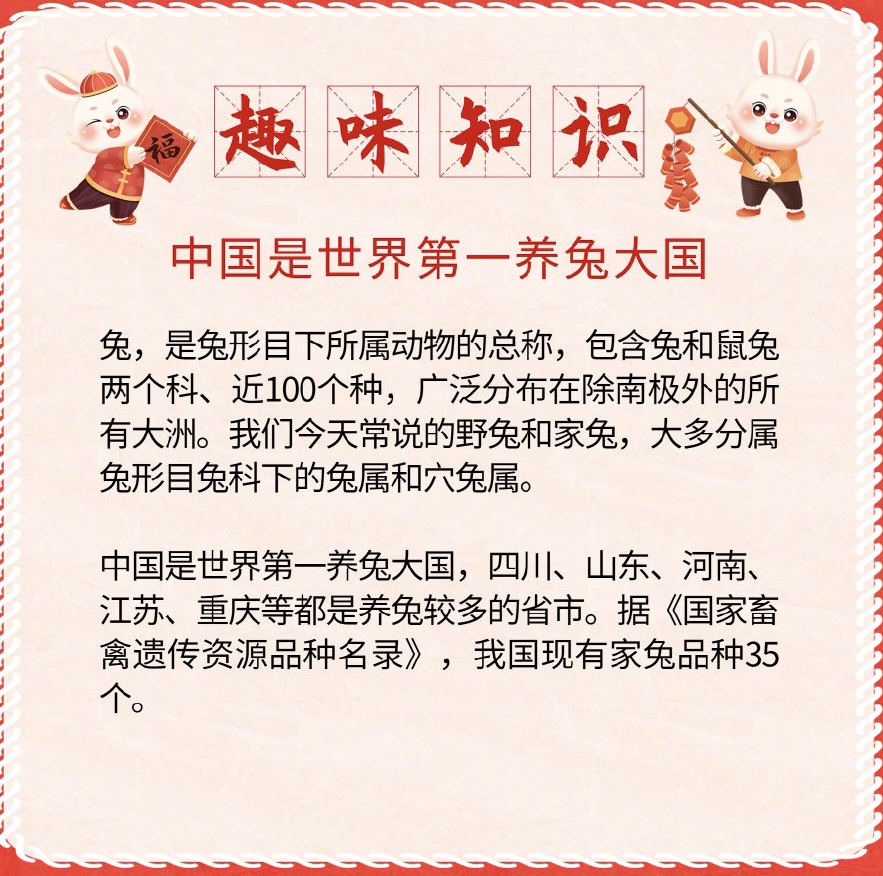 探索新澳正版兔費(fèi)大全的奧秘，一場(chǎng)關(guān)于娛樂與知識(shí)的盛宴（2004年）