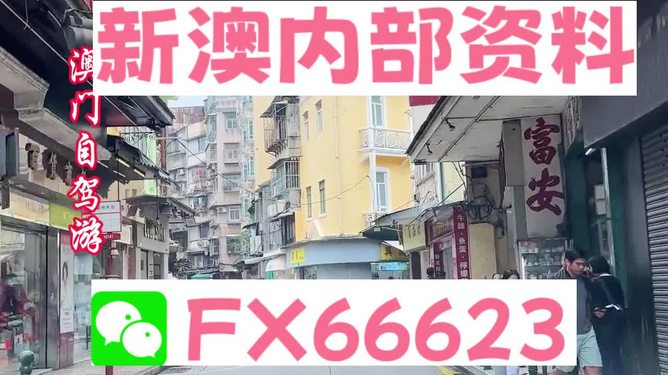 關(guān)于新澳精準(zhǔn)資料免費(fèi)提供的問(wèn)題分析