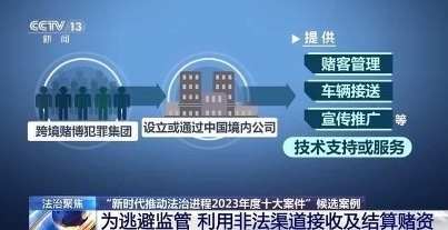 新澳門資料大全正版資料2023——警惕犯罪風(fēng)險(xiǎn)，切勿參與非法賭博活動(dòng)
