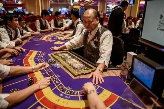 澳門金牛版與正版澳門金牛版，揭開犯罪的面紗下的真相