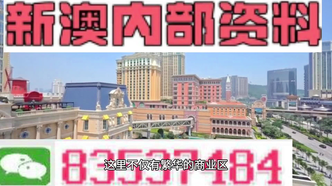 新奧彩正版免費資料，探索與解析