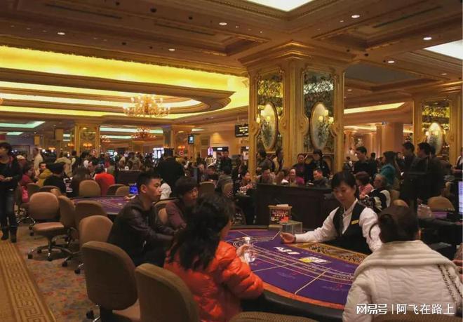 新澳門開獎現(xiàn)場與開獎結(jié)果，揭示背后的真相與警示