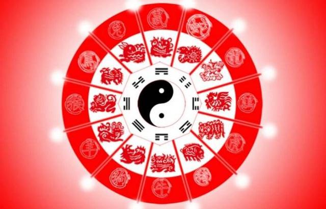 一碼一肖，揭秘生肖預(yù)測(cè)的真相與犯罪警示