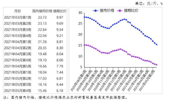 最新豬價預(yù)測，趨勢分析與展望