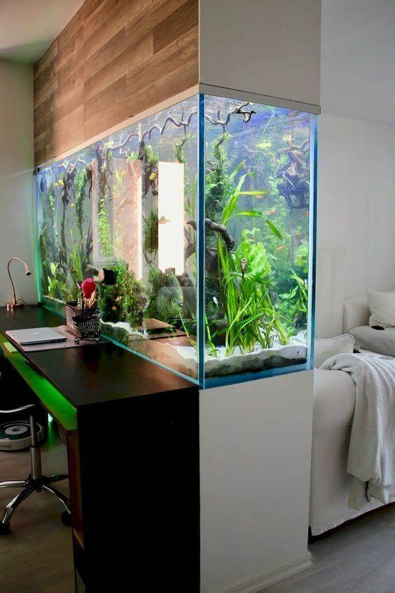 最新魚缸新款圖片，重塑家居水族魅力